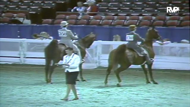 1991 WCHS Class 47 Equitation Open Ri...