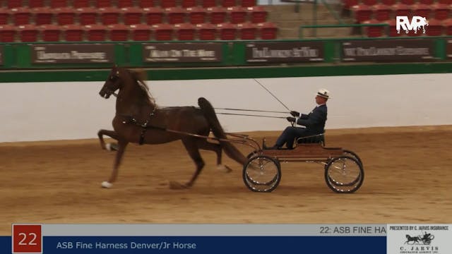 NCSC22 - Class 22 -  ASB Fine Harness...
