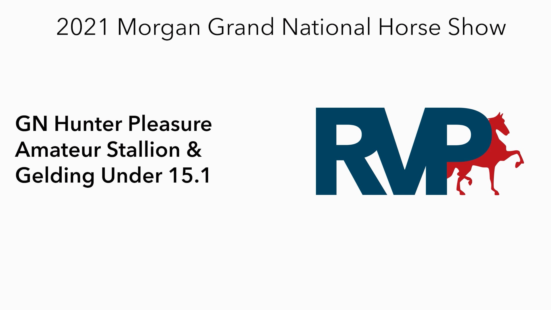 MGN21 - Class 22 - GN Hunter Pleasure Amateur Stallion & Gelding Under 15.1