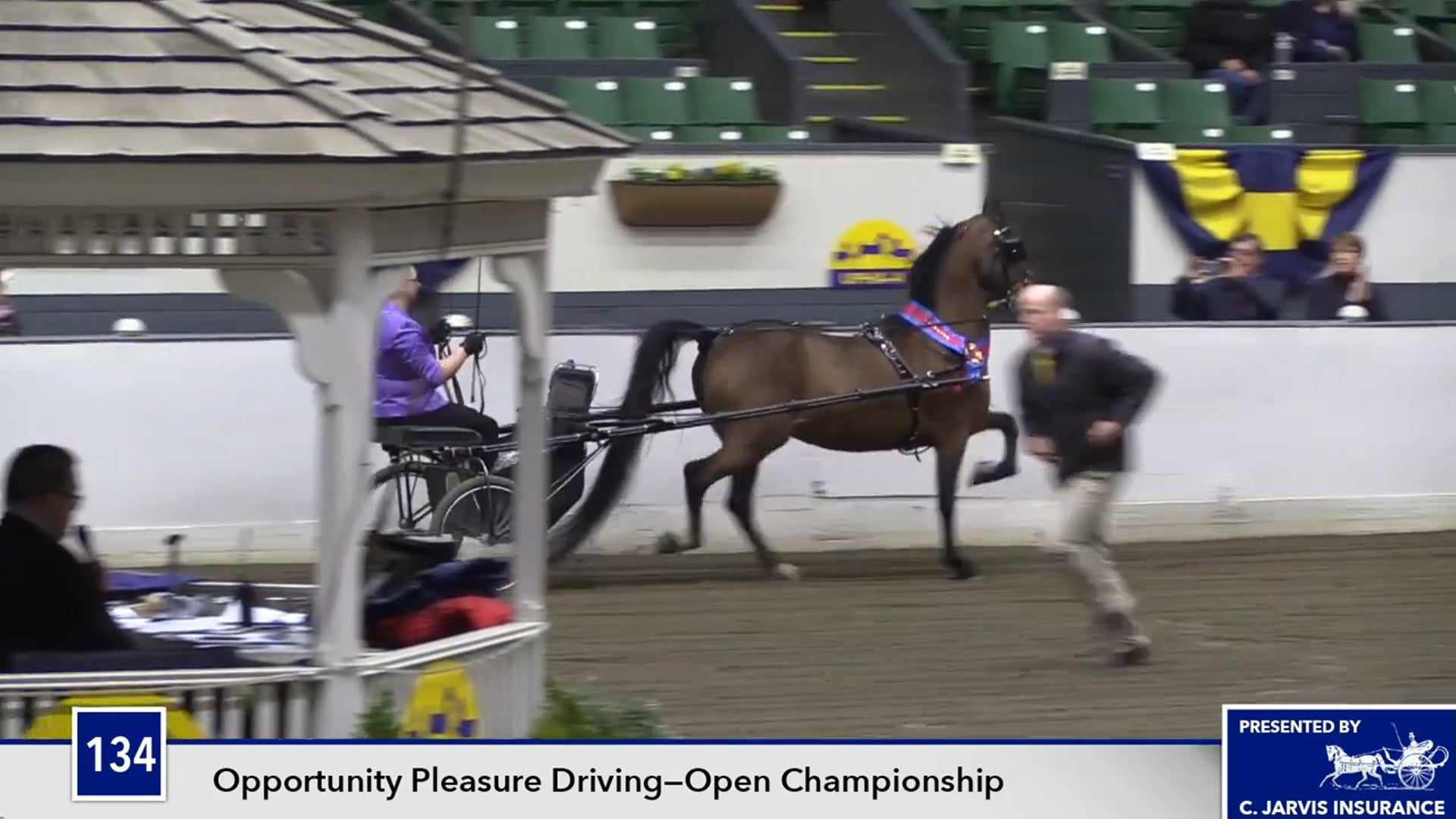 UPHACh14 17 - MEM Taser - Championship