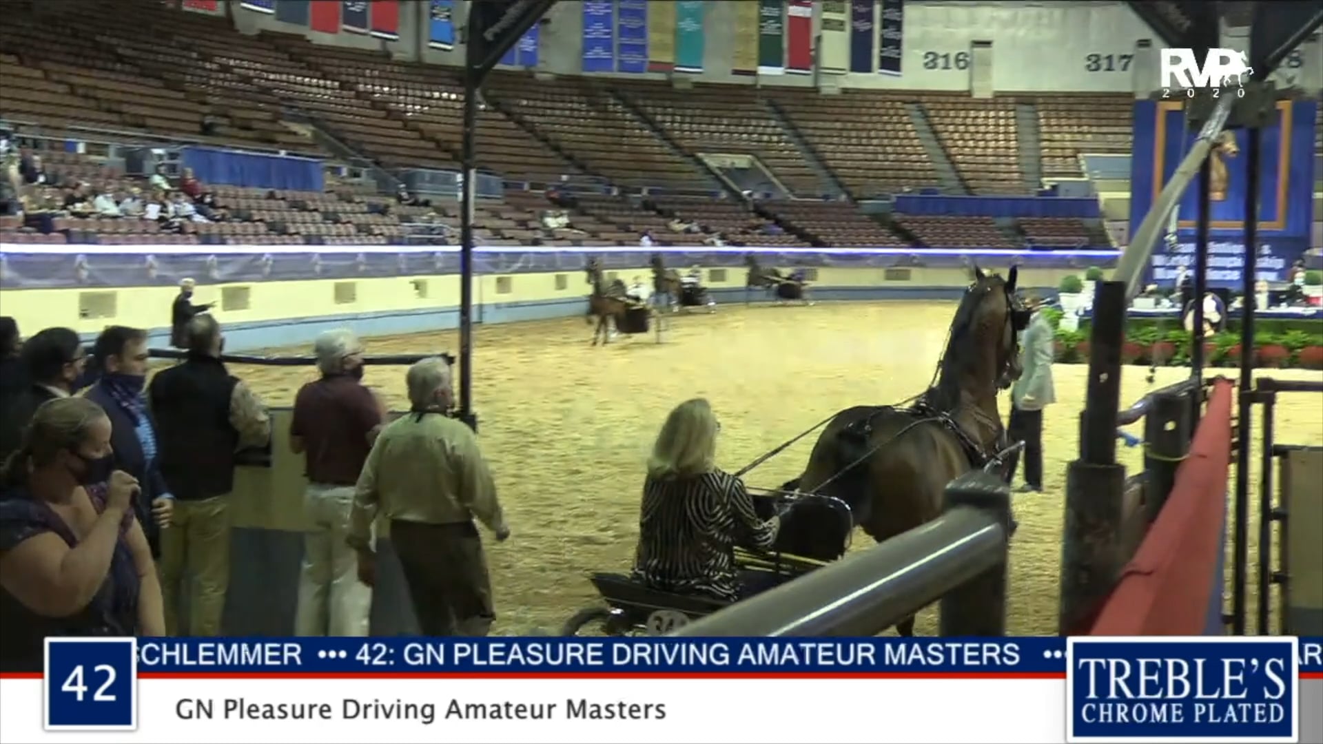 2020 MGN - Class 42 GN Pleasure Driving Amateur Masters