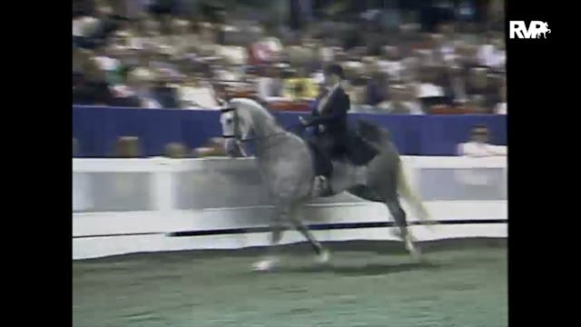 1997 WCHS - Class 172 Junior Exhibito...