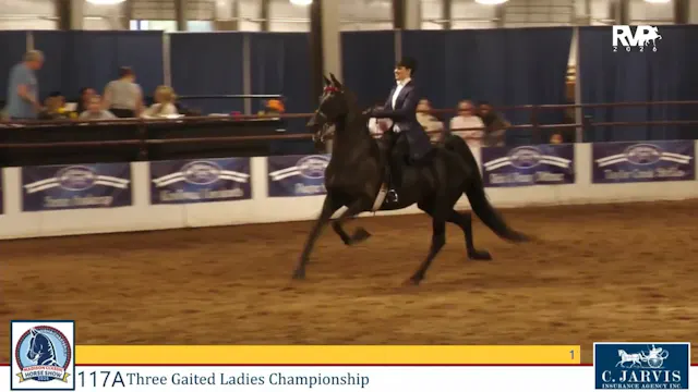 MC26 - Class 117A - Three Gaited Ladi...