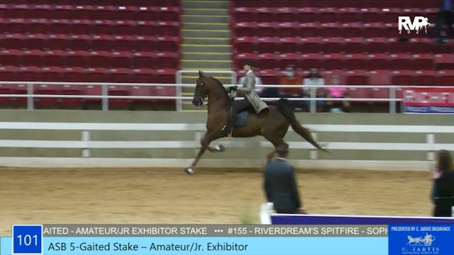ASW21 - Class 101 - ASB Five Gaited A...