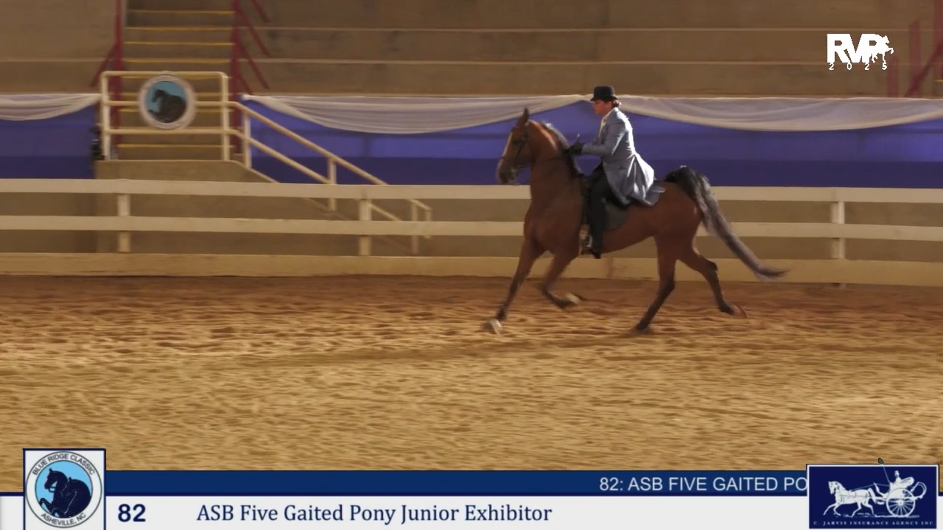 BRC25 - Class 82 - ASB Five Gaited Pony  Jr. Exhibitor