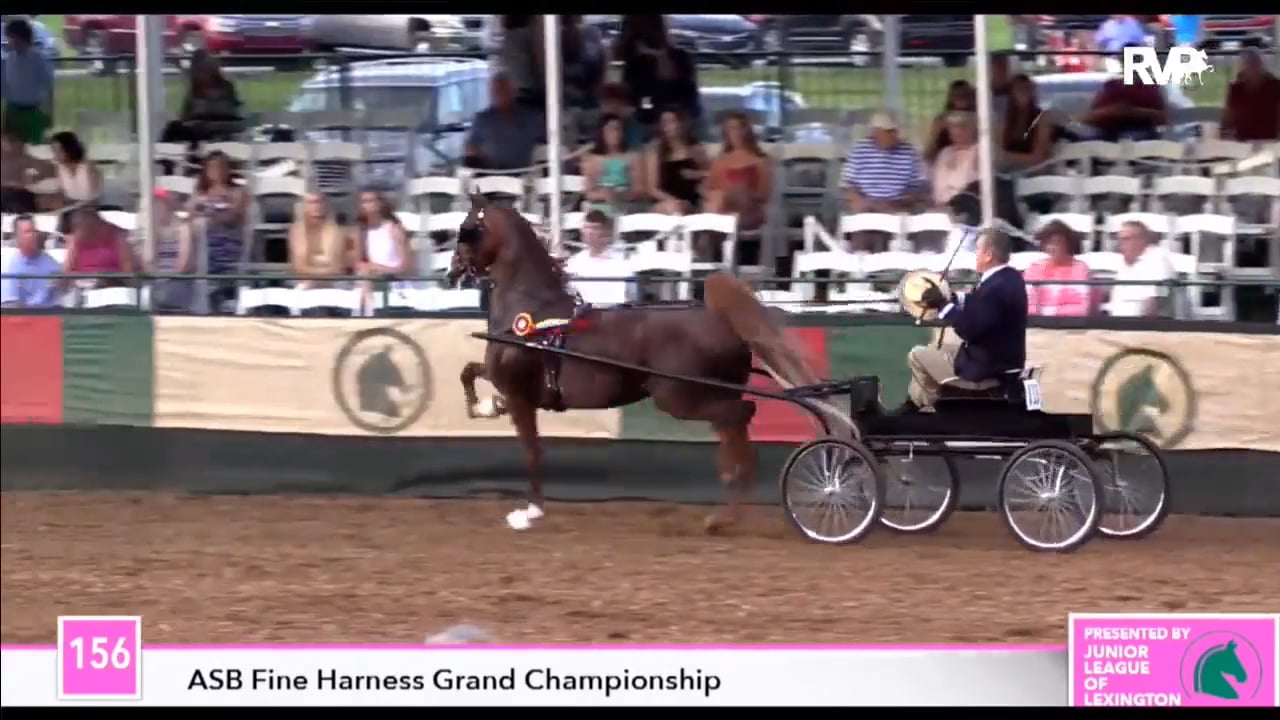 ALCB17 - Friday Evening (1)