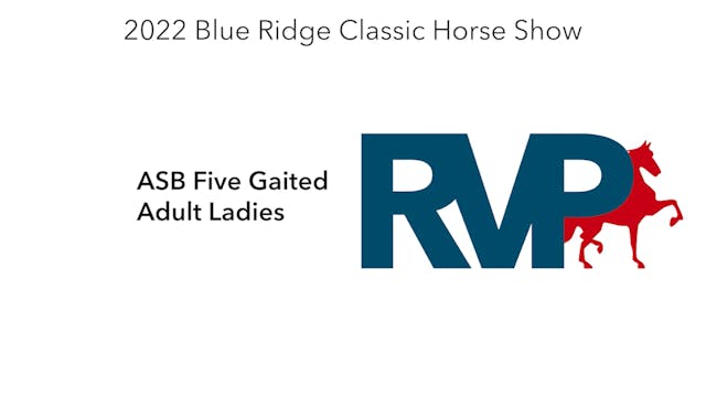 BR22 - Class 80 - ASB Five Gaited Adu...