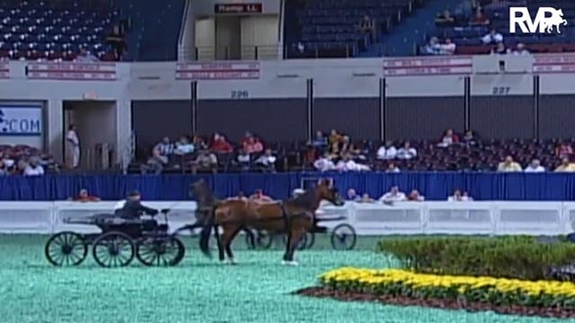 2009 World's Championship Horse Show ...