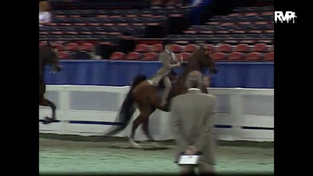 1995 WCHS - Class 52 -  Equitation Op...