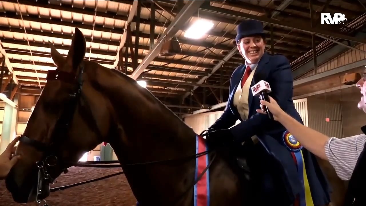 2018 Southern Saddlebred Fall Finale - Wednesday Evening