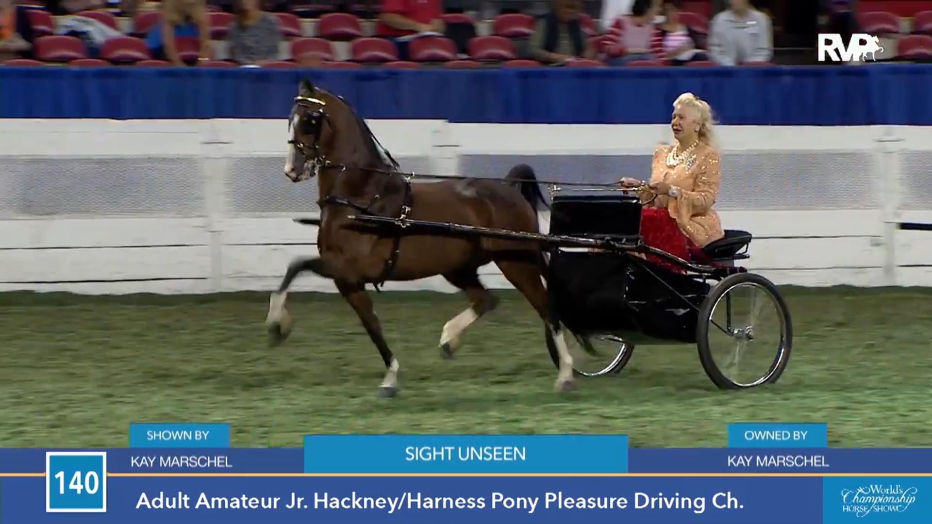 WCHS15 - Sight Unseen