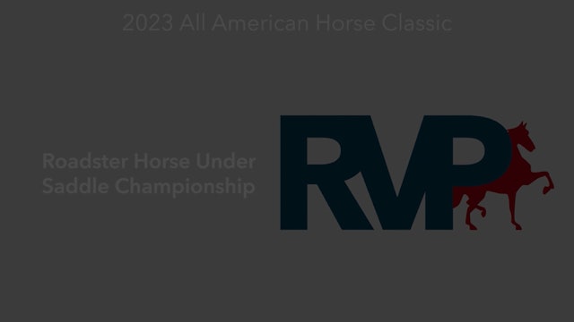 ASHAV23 - Class 94 - Roadster Horse Under Saddle Championship
