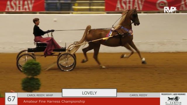 ASHAV22 - Friday Evening Recap