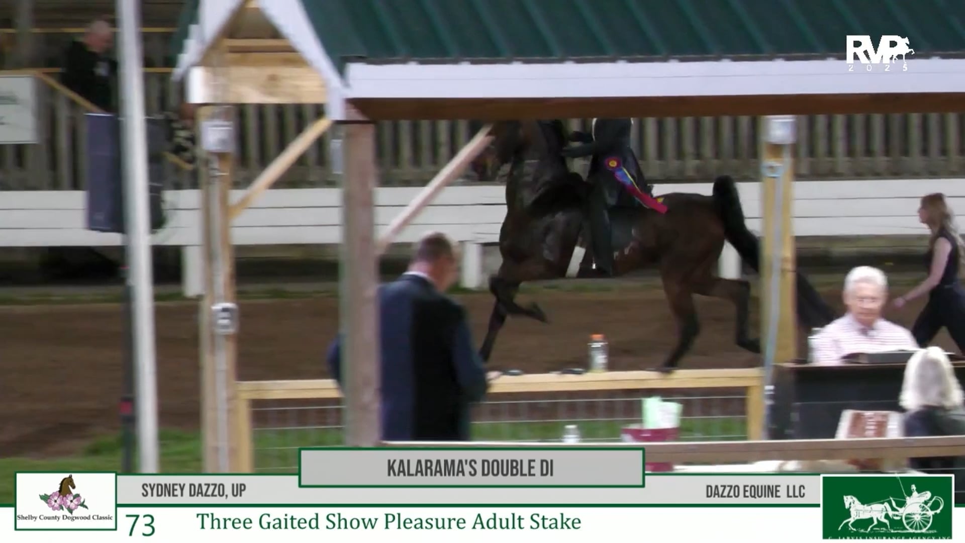 DC25 - Class 73 - Kalarama's Double Di and Sydney Dazzo, Up