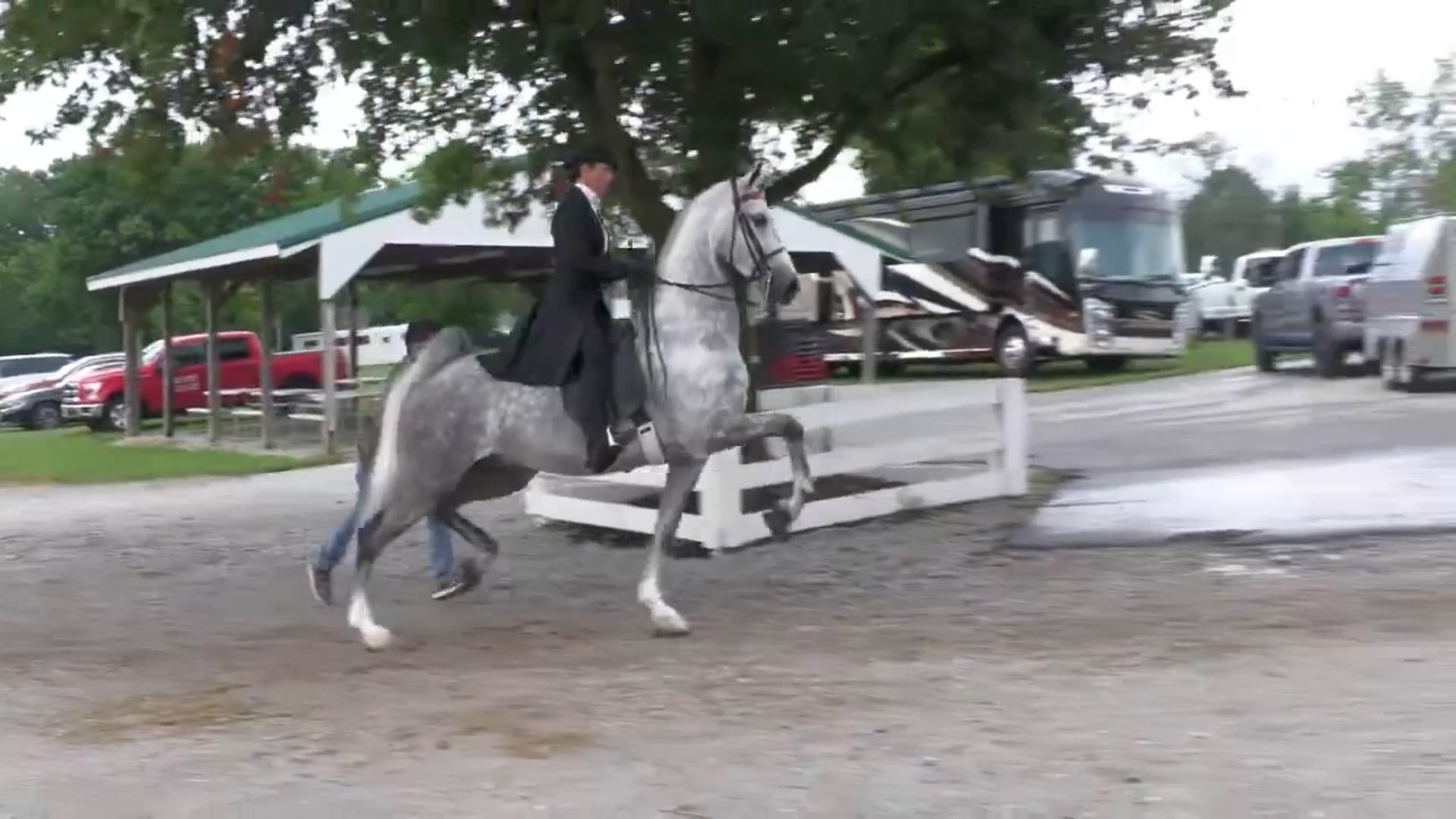 SsC25 - Class 27 - Three Gaited Open