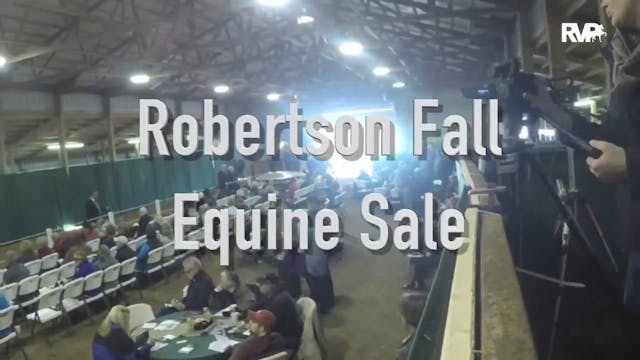 RFS15 - Timelapse of the Robertson Fa...