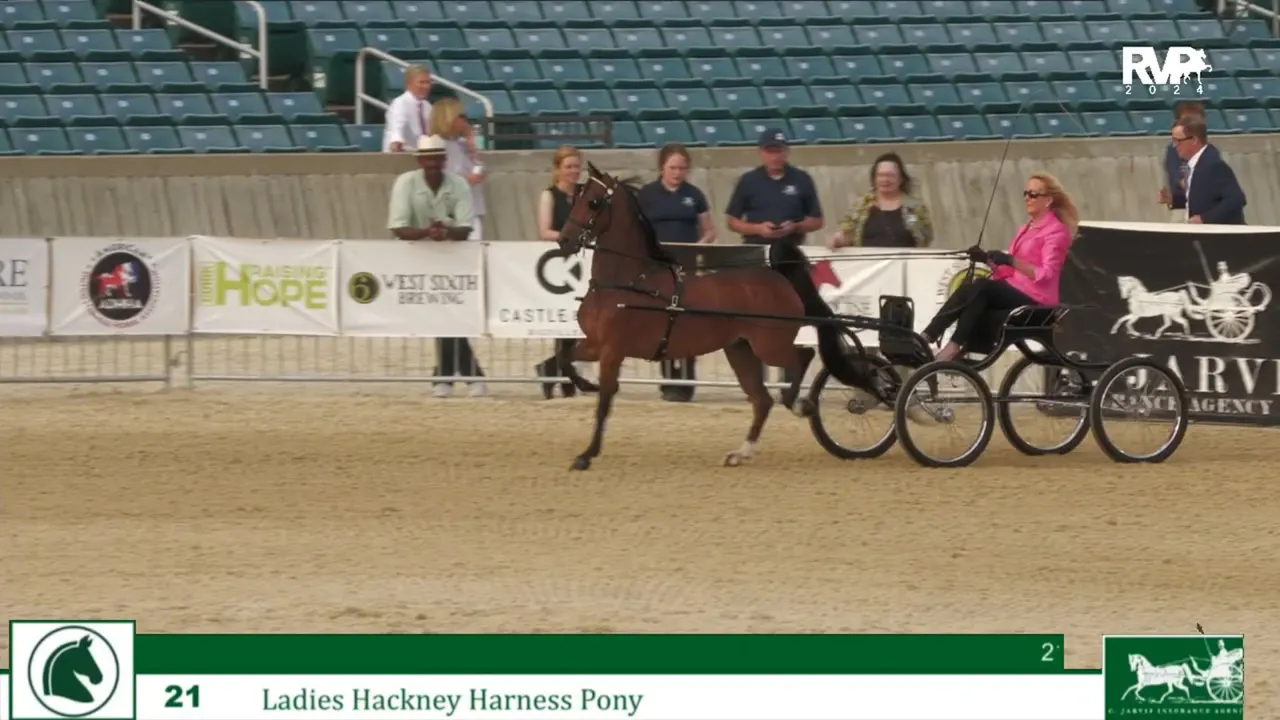 LJL24 - Class 21 - Ladies Hackney Harness Pony - Richfield Video Archive
