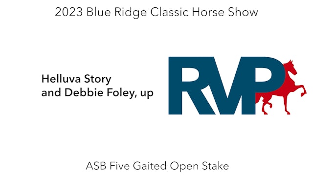 BR23 - Class 225 - Helluva Story and Debbie Foley, up