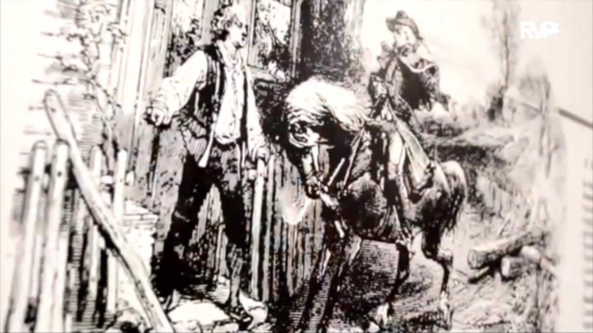 2019 Shelbyville Horse Show - Saturday Evening