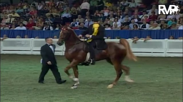 2005 World's Championship Horse Show ...