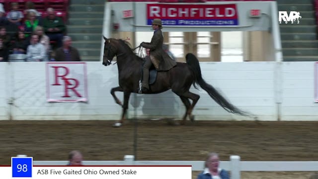 RR22 - Class 98 -  ASB Five Gaited Oh...