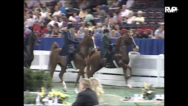 1998 WCHS - Class 36 ASB Three Gaited...