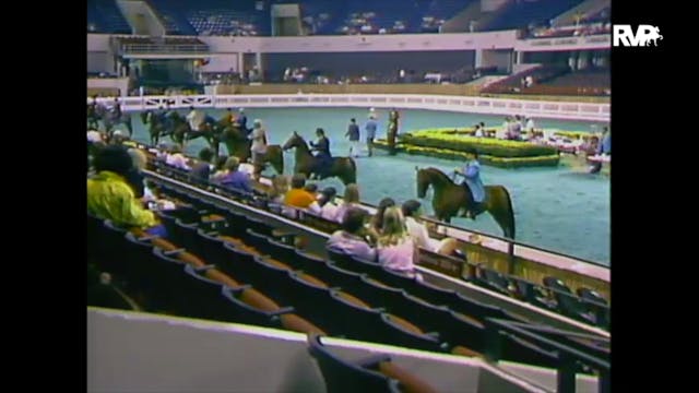 1988 WCHS Class 24 Three Gaited Pleas...