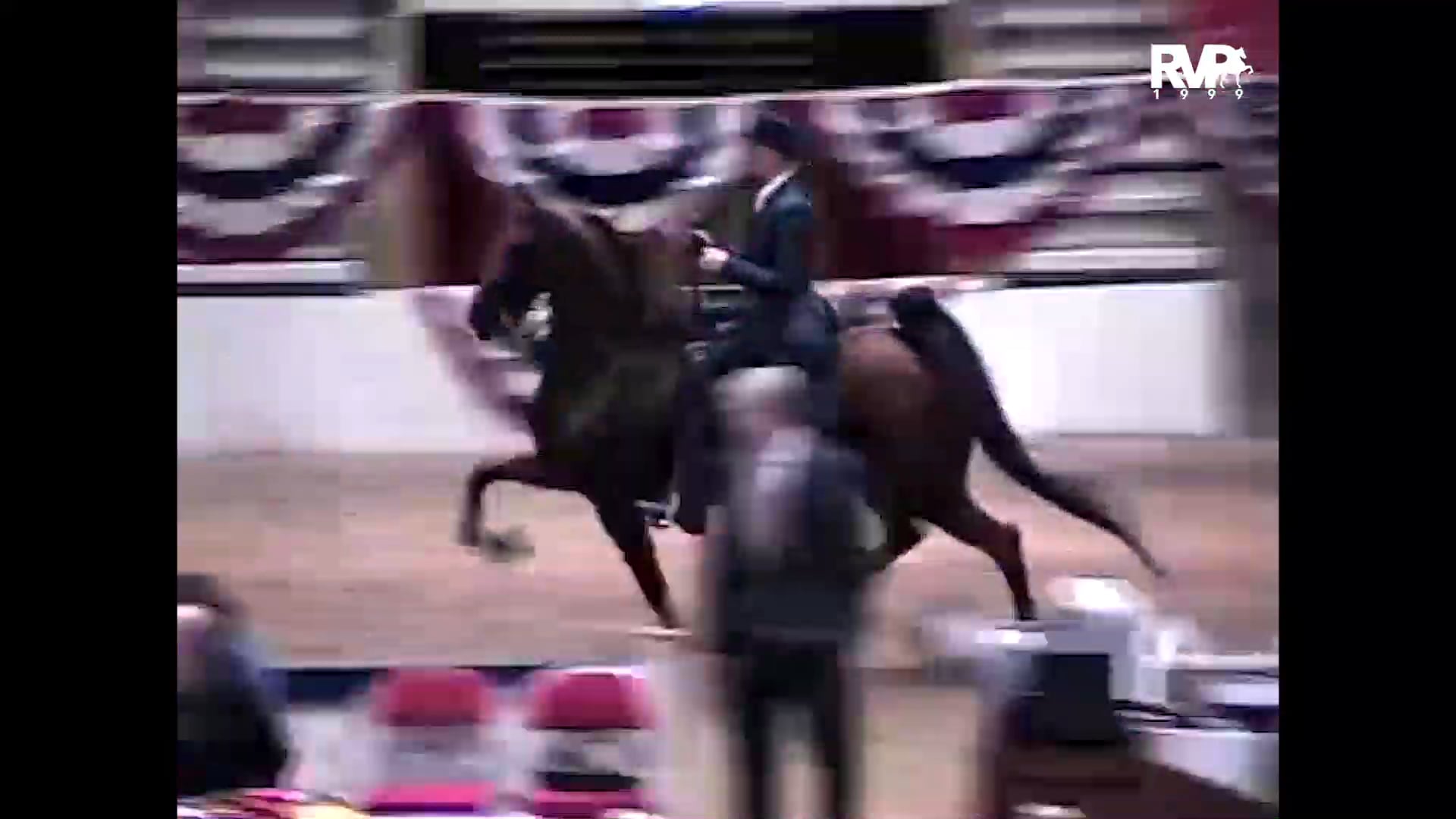 1999 Wisconsin Futurity - Five Gaited Mare - Bi Mi Belle Diva and Carl Irwin, up 