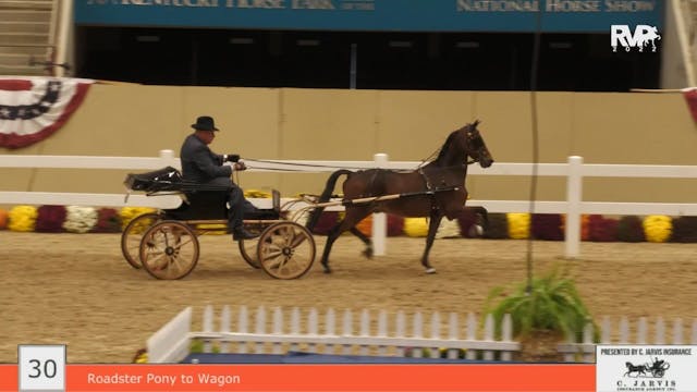 KYFC22 - Class 30 - Roadster Pony to ...