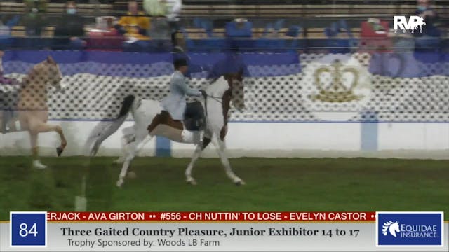 2020 AR - Class 84 Three Gaited Count...