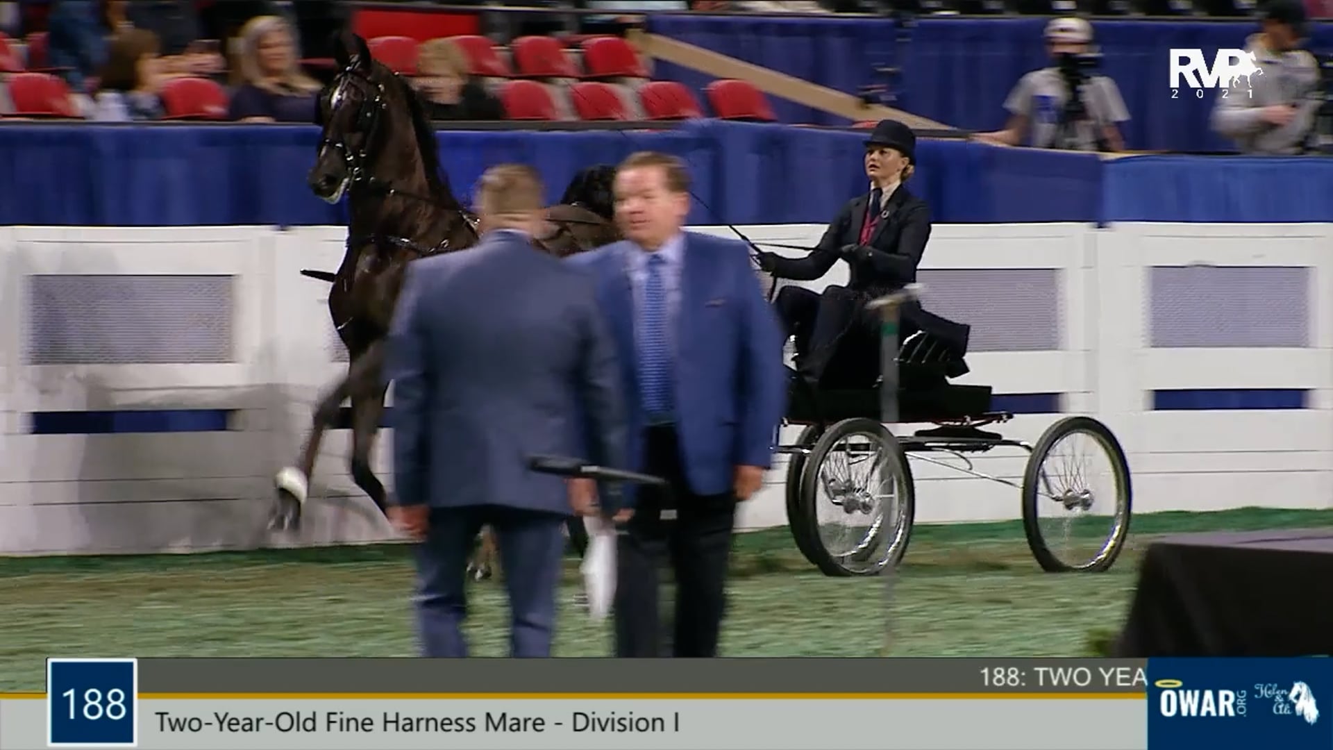 WCHS21 - Class 188 - Two-Year-Old Fine Harness Mare Division I