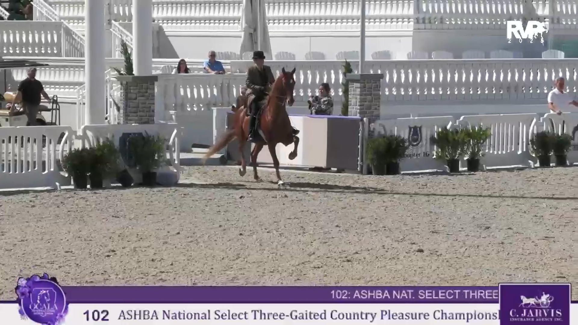 OI25 - Class 102 - Saddle & Bridle Hunter Classic