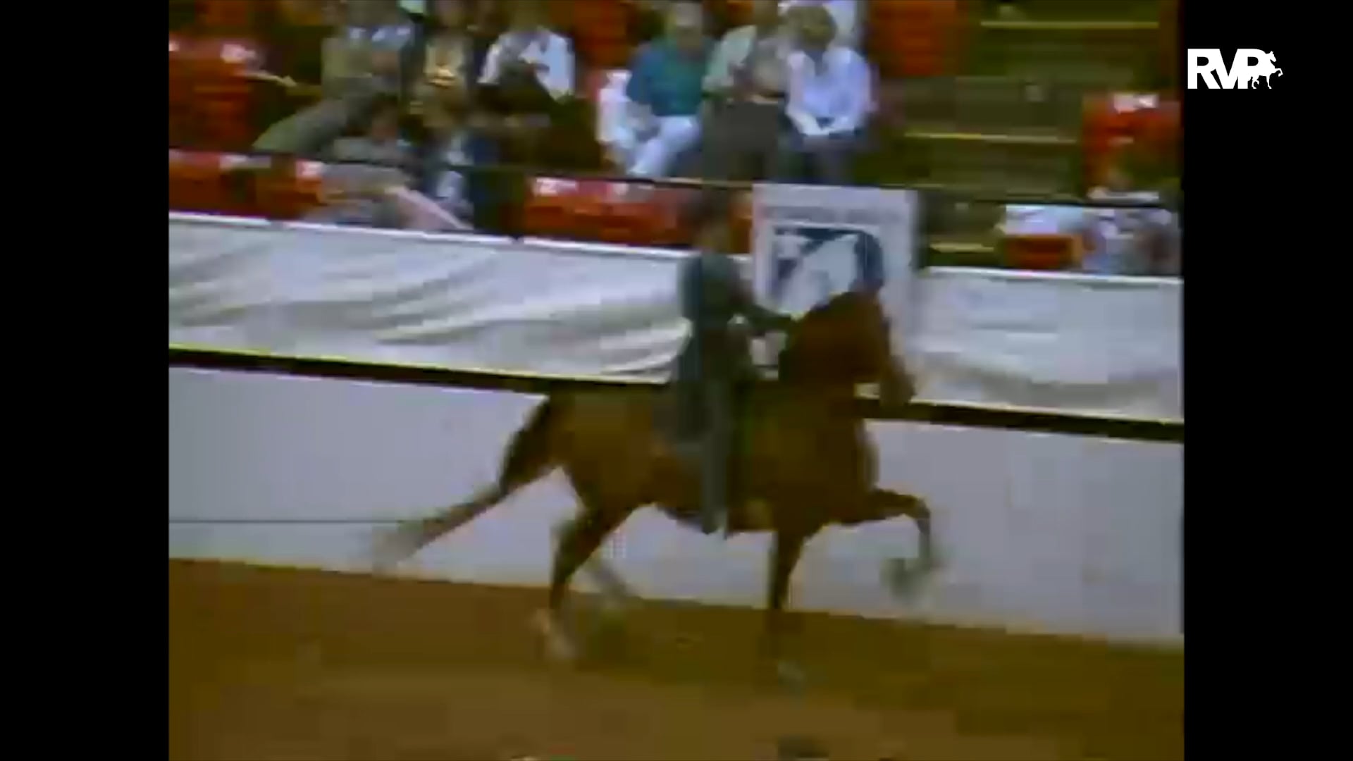 Looking Back at 1992 The Roanoke Valley Horse Show