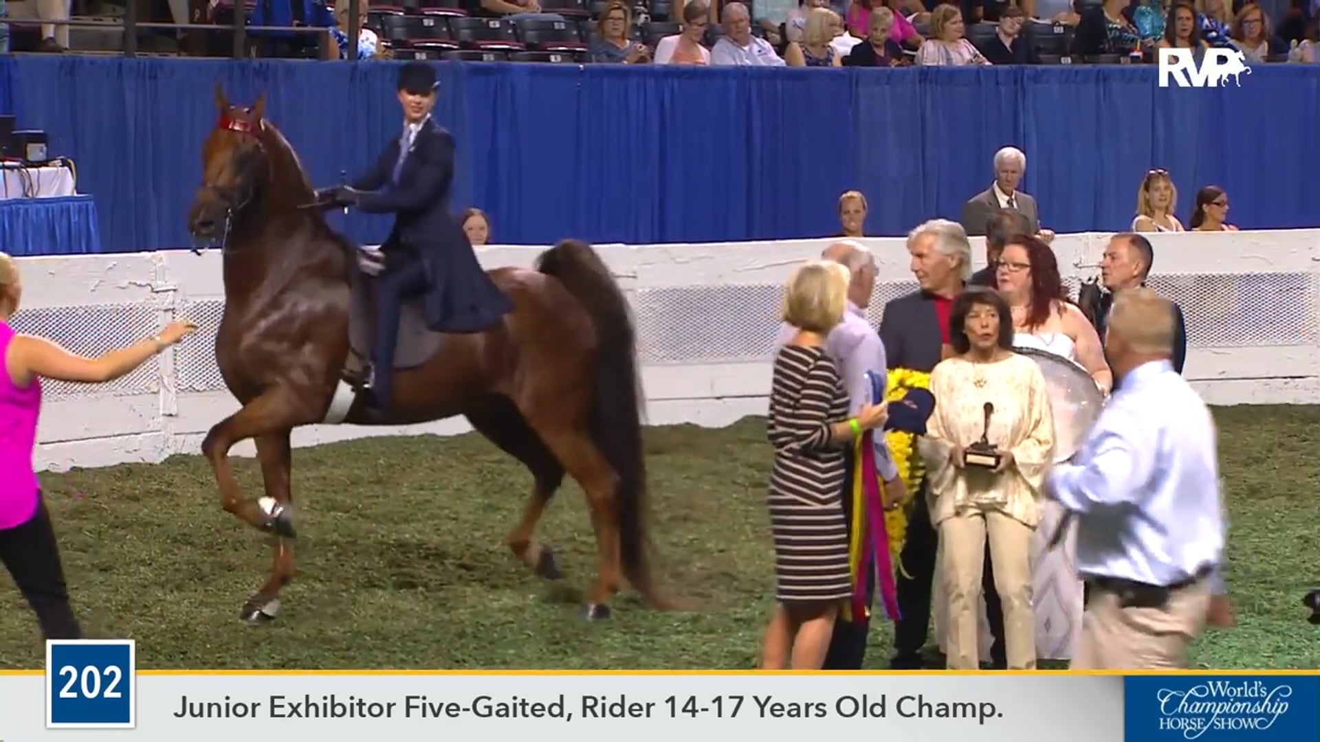 WCHS16 - CH The Daily Lottery - Championship 