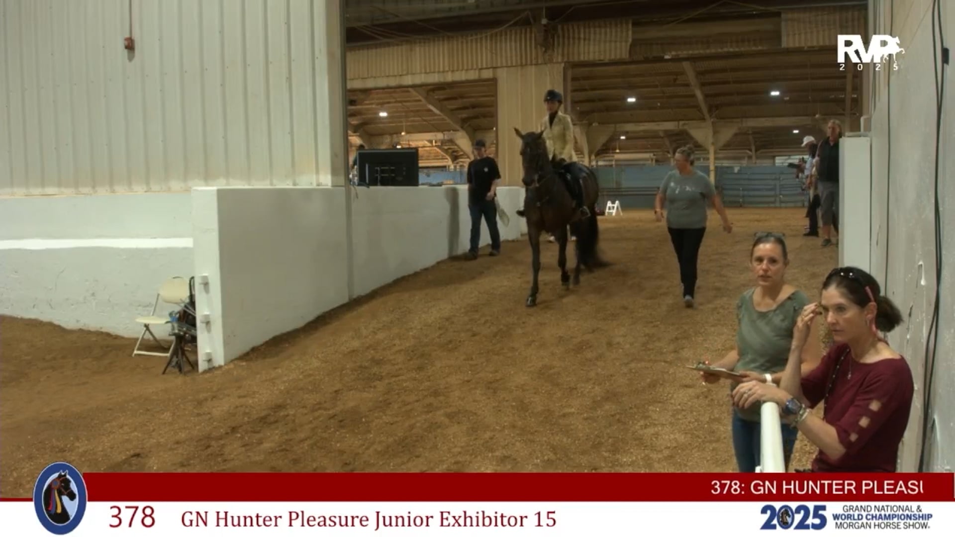 MGN25 - Class 378 - GN Hunter Pleasure Jr Exhibitor 15