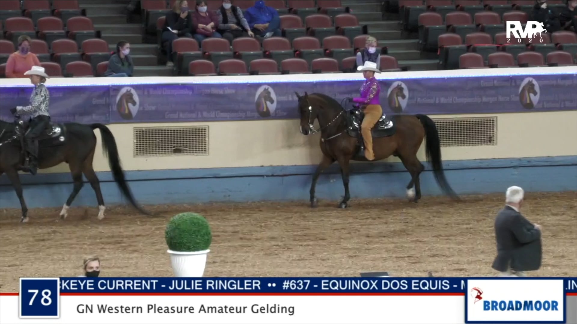 2020 MGN - Class 78 GN Western Pleasure Amateur Gelding - Part 1 of 2