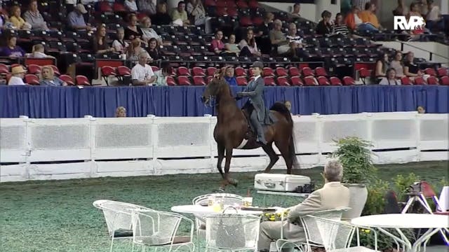 2012 WCHS - Class 71 Equitation Open ...