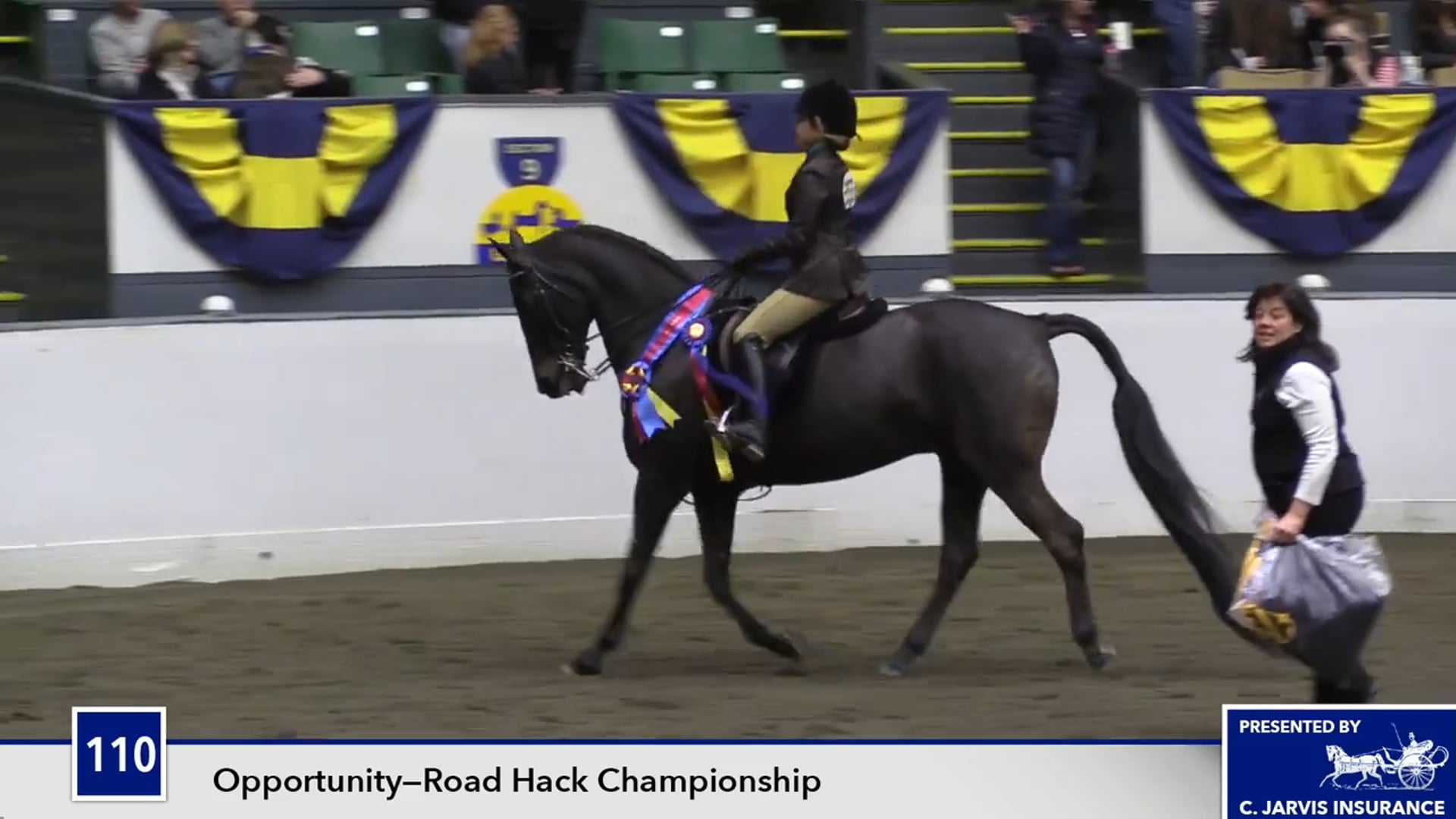 UPHACh14 17 - Sarde's Still Smokin' - Championship