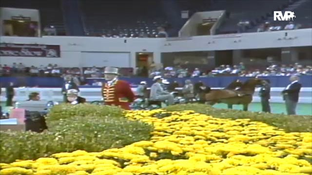 1992 WCHS Class 34 Amateur Gentlemen ...