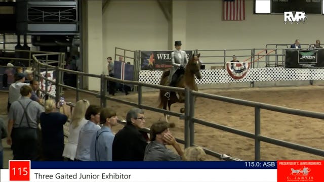 AAC21 - Class 115 - Three Gaited  Jun...