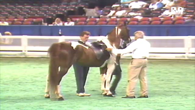 1992 WCHS Class 91 ASHA Amateur Three...