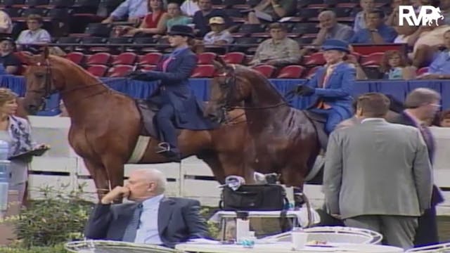 2004 World's Championship Horse Show ...