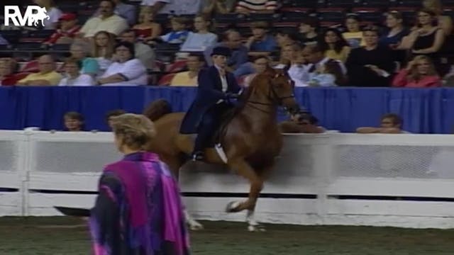 2004 World's Championship Horse Show ...