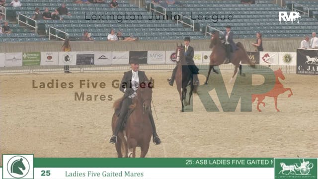 LJL24 - Class 25 - Ladies Five Gaited...