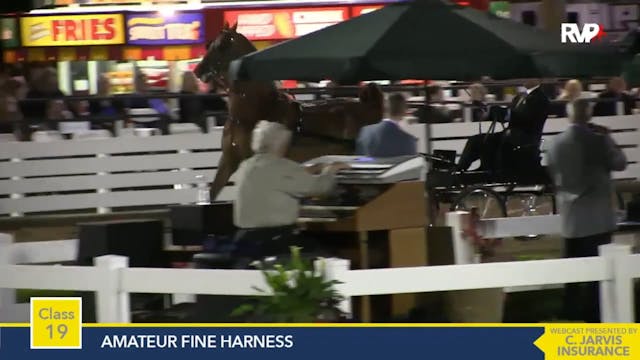 2015 RC - Class 19 Amateur Fine Harness 