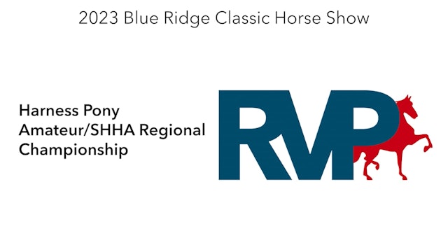 BR23 - Class 217 - Harness Pony Amateur-SHHA Regional Championship