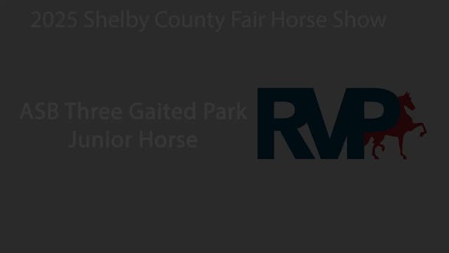 SCF25 - Class 15 - ASB Three Gaited P...