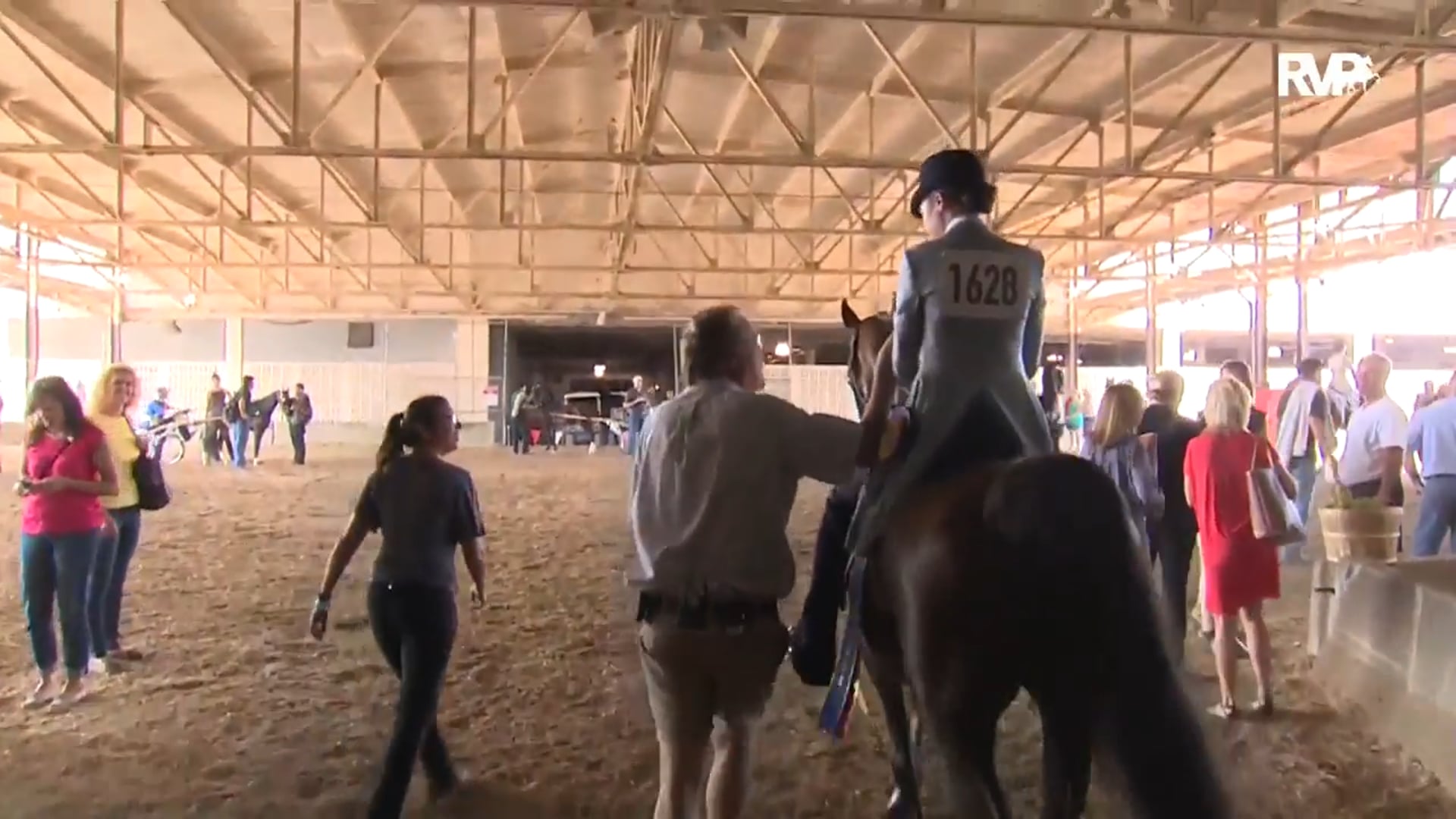 WCHS16 - Undulata's Snowflake - Championship 