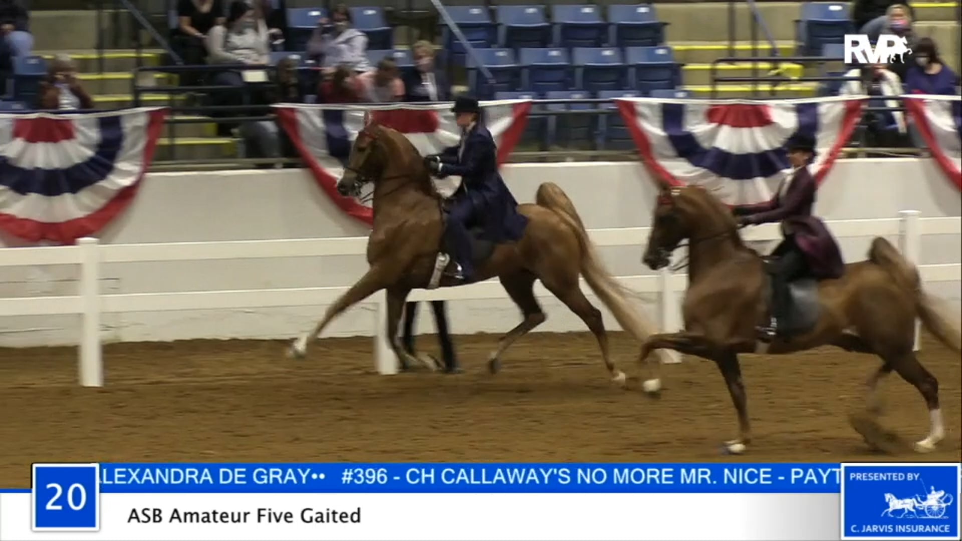 2020 BB - Class 20 ASB Amateur Five Gaited