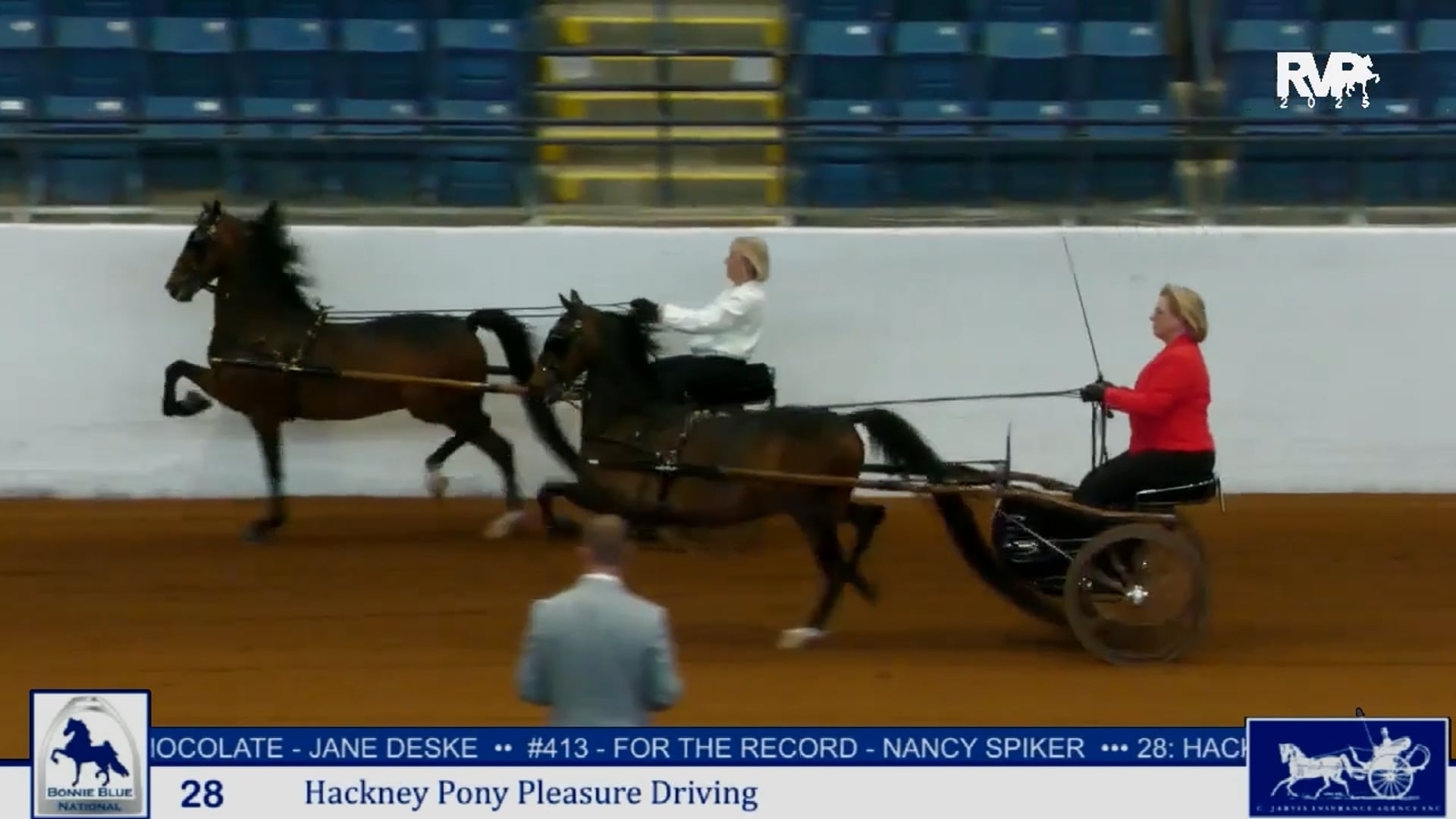 BB25 - Class 28 - Hackney Pony Pleasure Driving